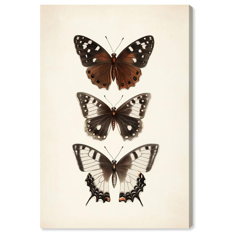 Décoration murale empilable sur toile Butterfly Stack par Art Remedy, galerie tendue, 20 x 30, H 30 po x l 20 po