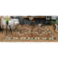 Cotton Area Rug in Gray