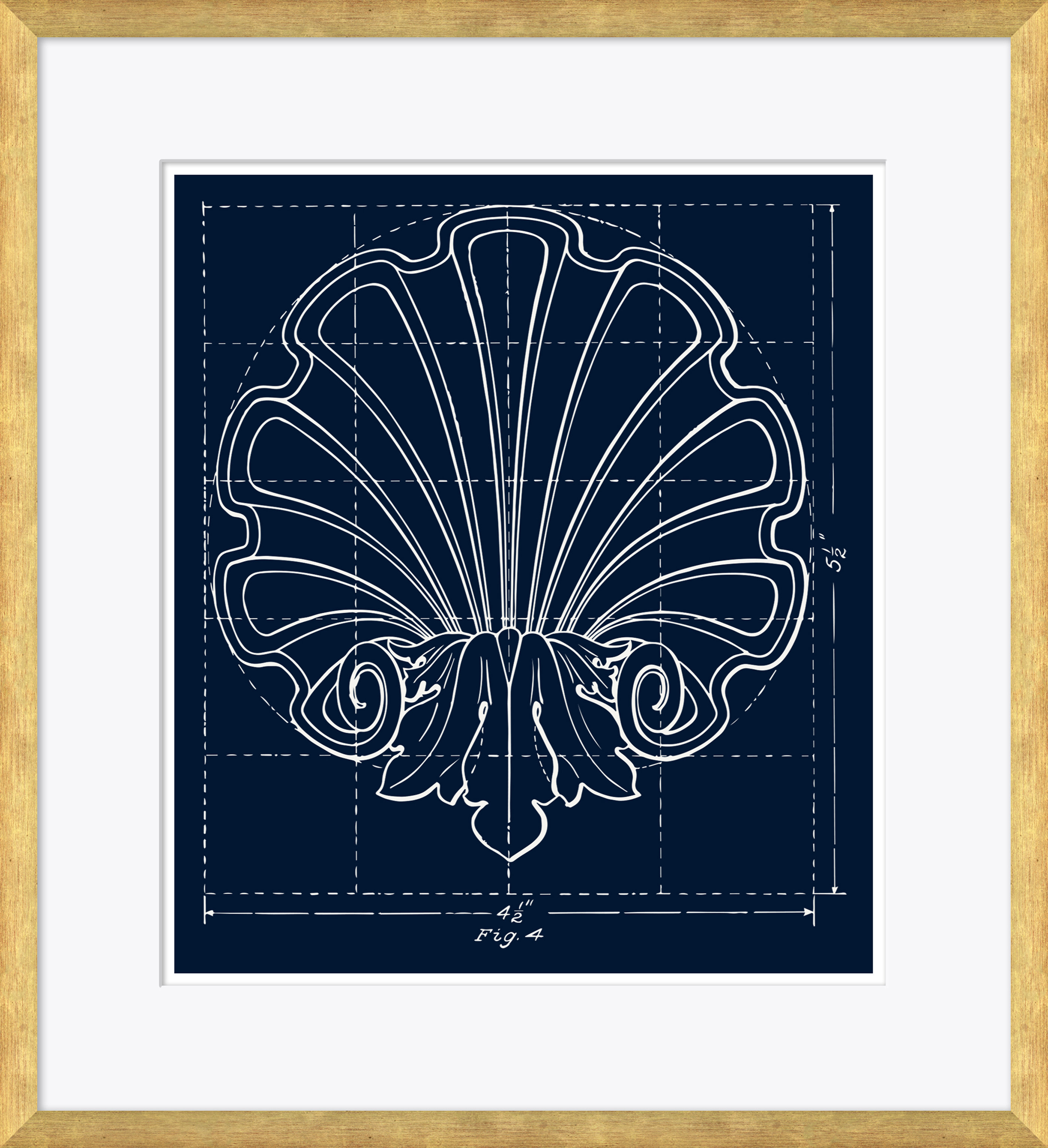 Soicher Marin Blue Shell Study by David Phoenix - Picture Frame Drawing ...