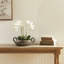 Ceramic Decorative Bowl-232877166