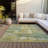 Machine Washable Indoor/Outdoor Meredith ACN2147 Abstract Rug-1958884331