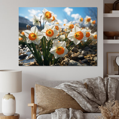 " Daffodils Field Sunset III "