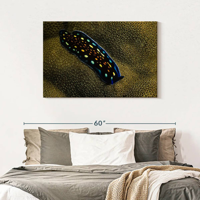 Crowle Linda's Flatworm, 30" H x 45" W