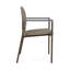 Chaise d'invité Chat Chat-98671306-98881777