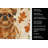 Belge Brussels Griffon Heirloom Fall Kitchen Towel-1218231179