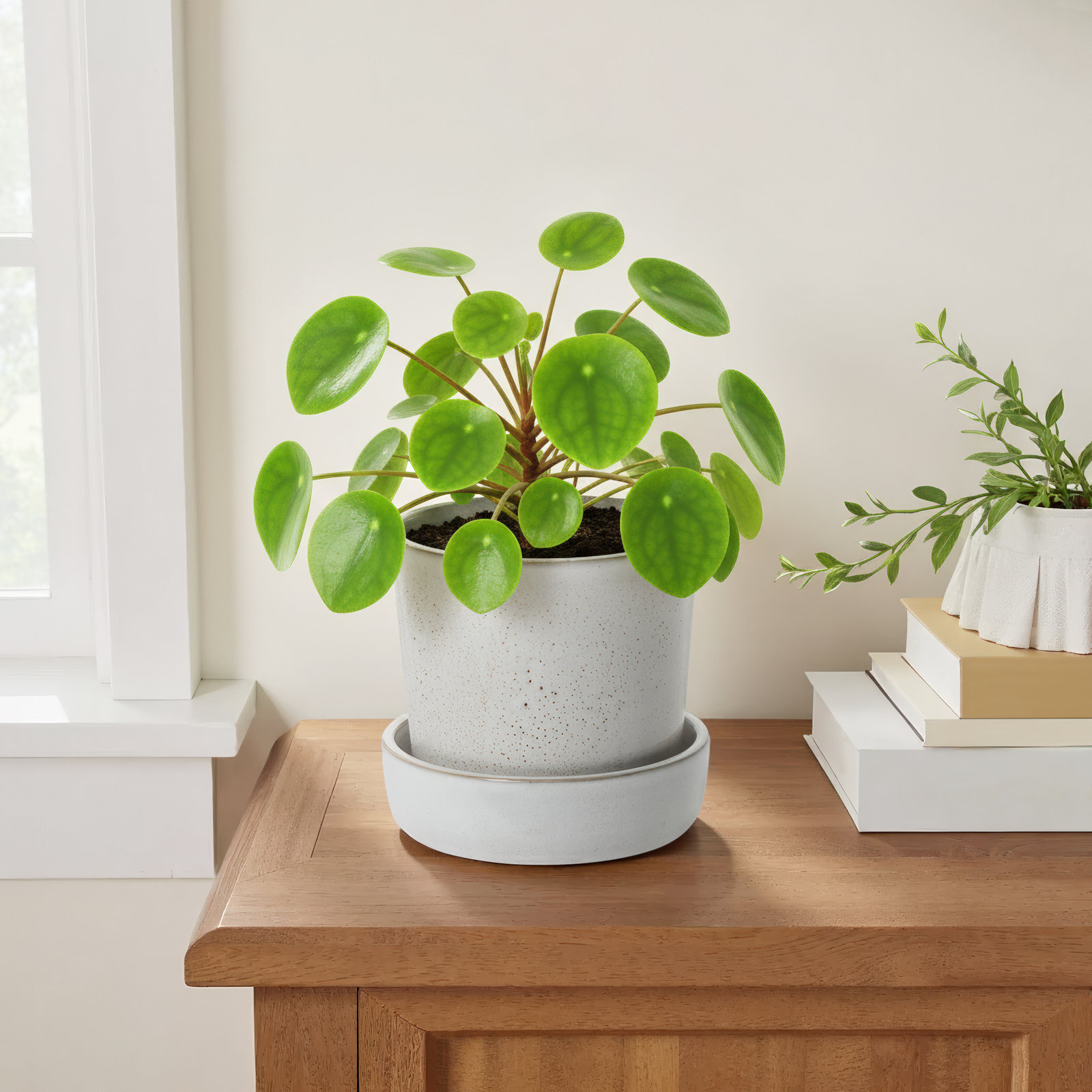 Handmade Ceramic Pot Planter, 5" H x 5.25" W x 5.25" D, Off White