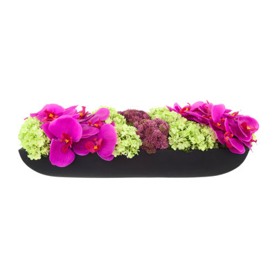 Orchid and  Arrangement