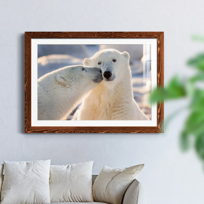 Baiser d'ours polaire - photographie avec cadre photo