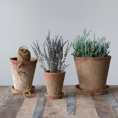 Hillengas Round Cement Planter with Saucer and Distressed Finish