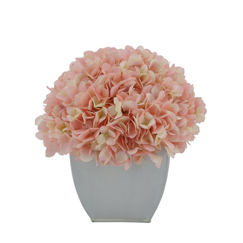 Arrangements floraux d'hortensias en pot, Rose
