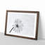 Flower Sketch - Picture Frame Graphic Art Print-56713623-56713627