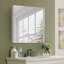 Recessed Or Surface Mount Frameless Medicine Cabinet With Mirror
