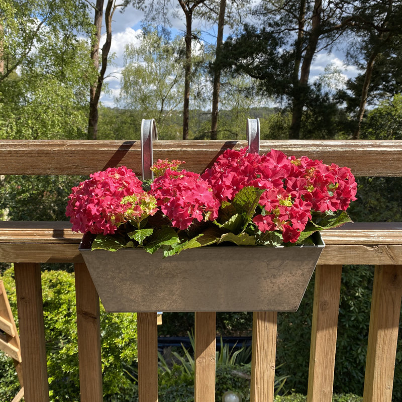 Andropolis Metal Railing Planter, Zinc