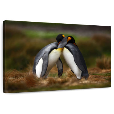 «Brampt Penguin Love»