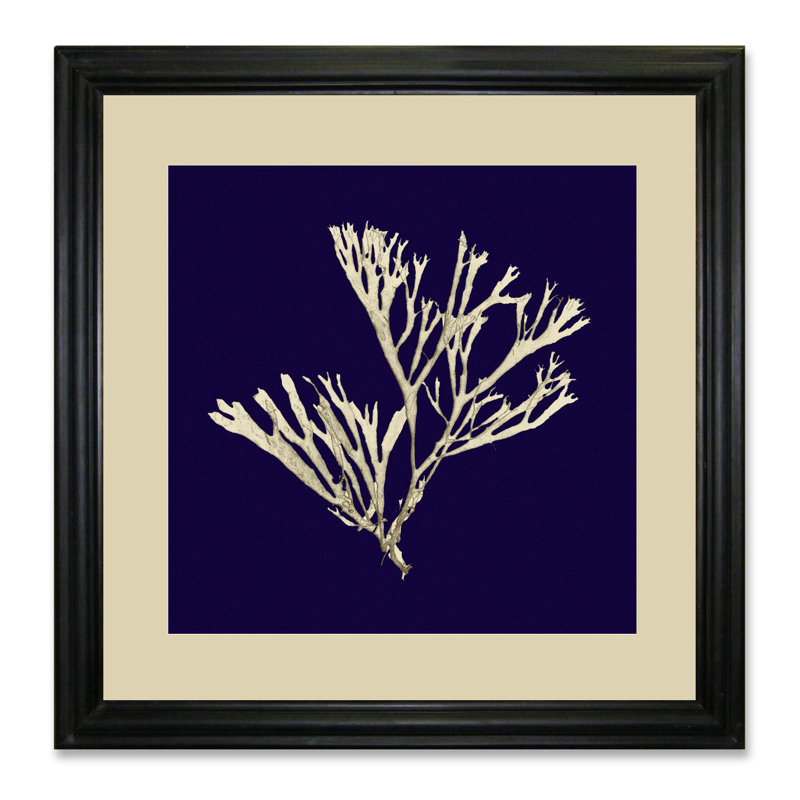 Seaweed On Navy II - Single Picture Frame Print