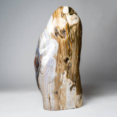 Fossil Wood Hearts  Buy Petrified Wood Online