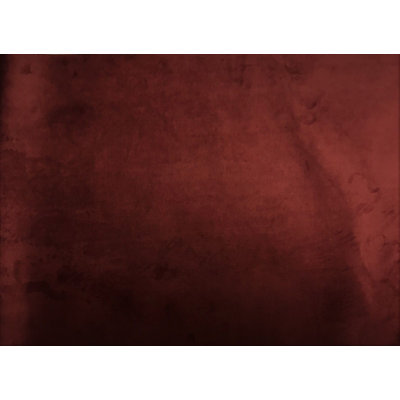 Eloy Upholstered Velvet Headboard