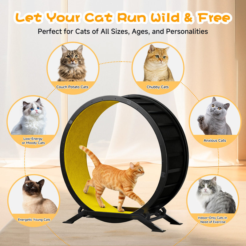 93 cm H Cat Tree / Condo, Yellow