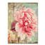 'Saisons III' by Colour Bakery Graphic Art on Wrapped Canvas-20507363