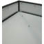 Whitewing 4 - Light