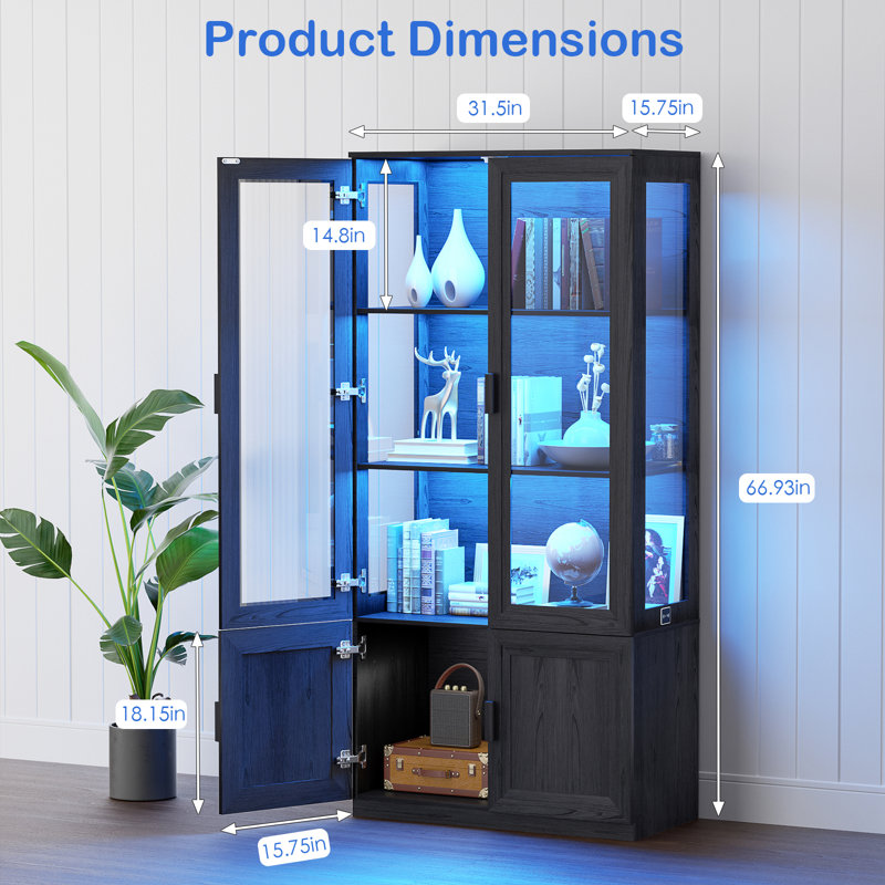 Vitrine Curio avec portes en verre, bibliothèque avec lumières à DEL, noir