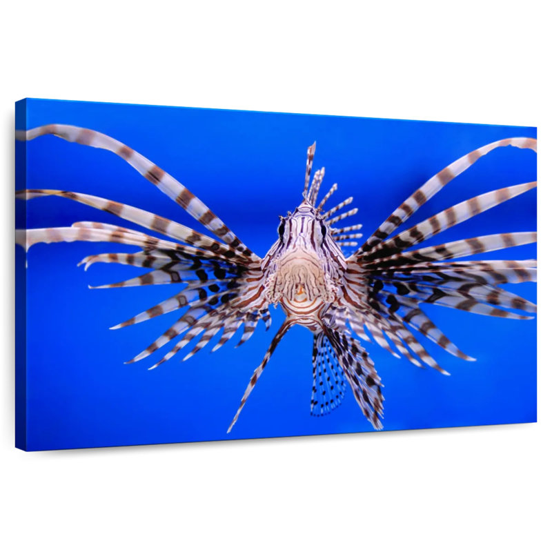 Crowle Lionfish Close Up, 34" H x 51" W