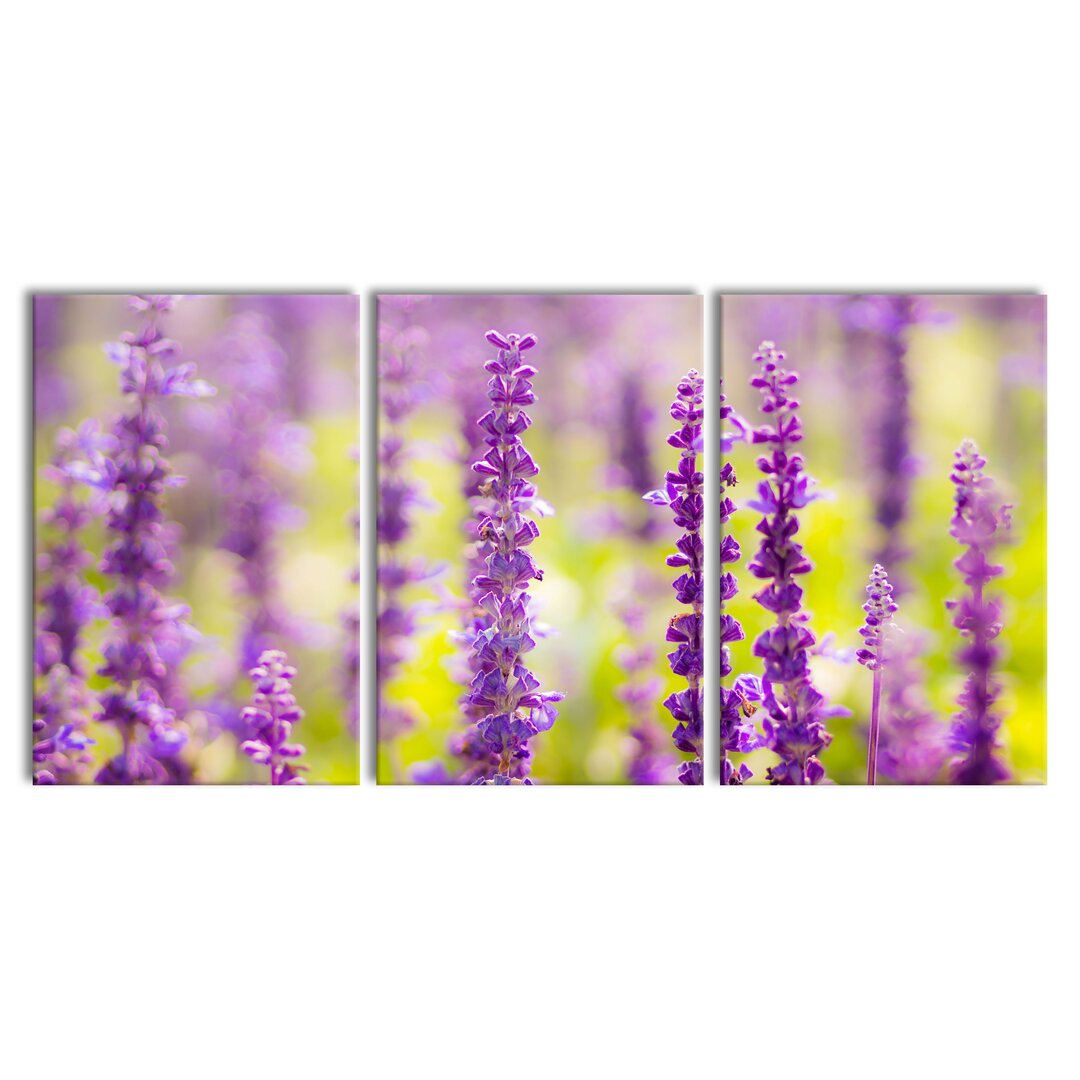 3-tlg. Leinwandbilder-Set Schöne violette Lavendelblüten