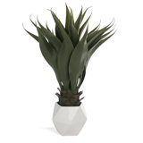 2 - Piece Artificial Agave Plant in Planter Set