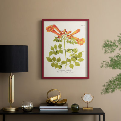 «Tropical Trumpet Flowers III», reproduction encadrée - bois massif
