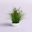Cosmos artificiel en pot et herbe artificielle-841517893