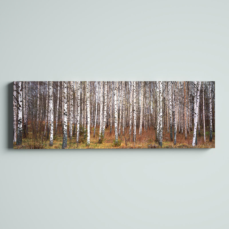 Silver Birch Trees in a Forestnarke, Sweden 1 Piece Wrapped Canvas Panoramic Wall Art, 121.92 cm H x 40.64 cm W