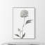 A Flower Of Day II Print by Janice Sadler-46339669-47479682
