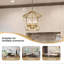 Dobson 6 - Light Durable Metal Lantern Pendant-1464454735-1385528538