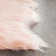 Rankin Solid Colour Hand Woven Area Rug