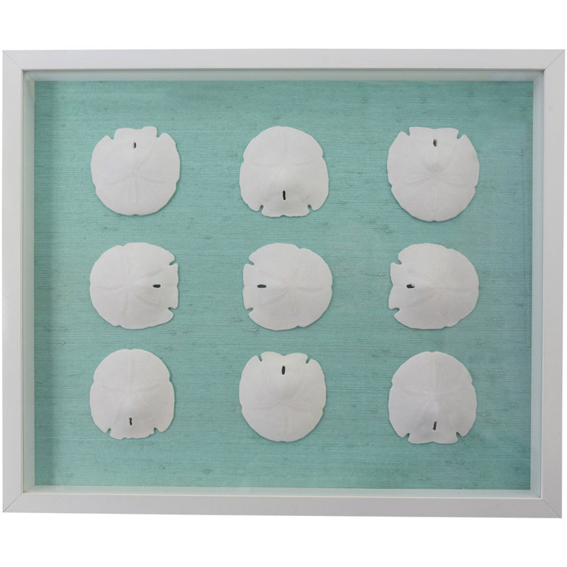 Sealife Print, Turquoise/White