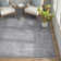 Janousek Oriental Indoor Rug