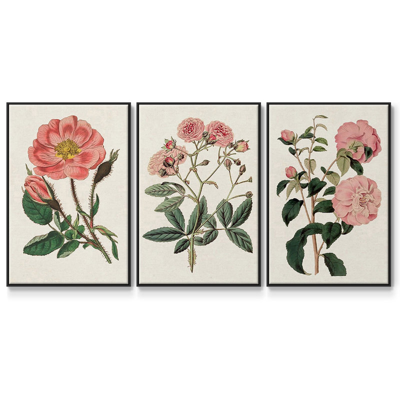 «Pink Floral Mix IV», ensemble de 3 pièces encadrées sur toile, Noir, H 36 po x l 72 po
