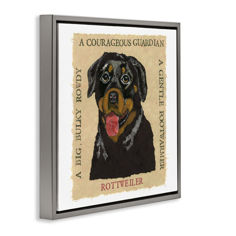 "Fun Rottweiler Pet", art mural encadré flottant par Nancy Overton, Cadre flottant gris lustré, H 25 po x l 25 po