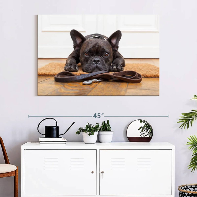 Bouledogue français en attente, H 26 po x l 39 po