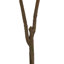 55.1'' Faux Fiddle Leaf Fig Tree in Cement Pot