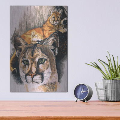 "Felis Concolor Cory" par Barbara Keith