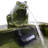 Hyman Frog Contemporary Green Ceramic Solar Water Fountain