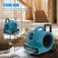 Ebern Designs 46.5cm Fan