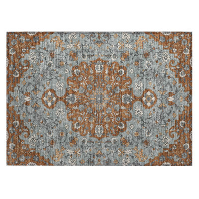 Machine Washable Indoor/Outdoor Chantille ACN2463 Traditional Rug