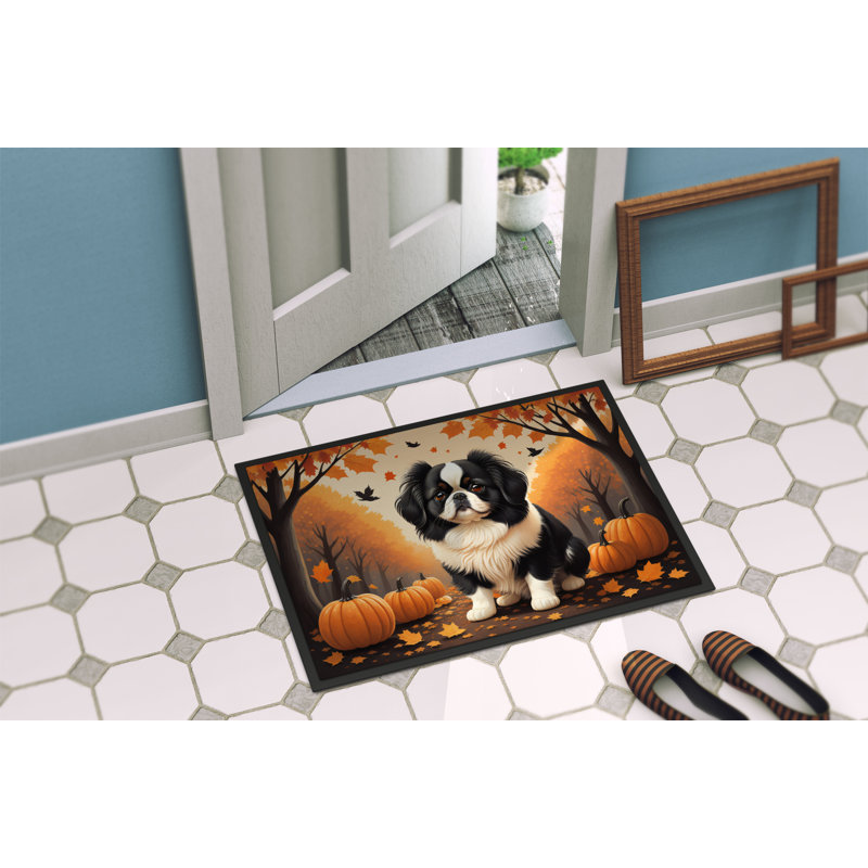 Tapis de porte d'extérieur antidérapant Noncio, L 24 po x L 36 po