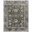 Oriental Area Rug in Dark Green/Ivory-81199415