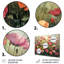 Vianney - Ensemble d'art mural Buttercups-107188898-107188899