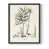 Noir sélectionné