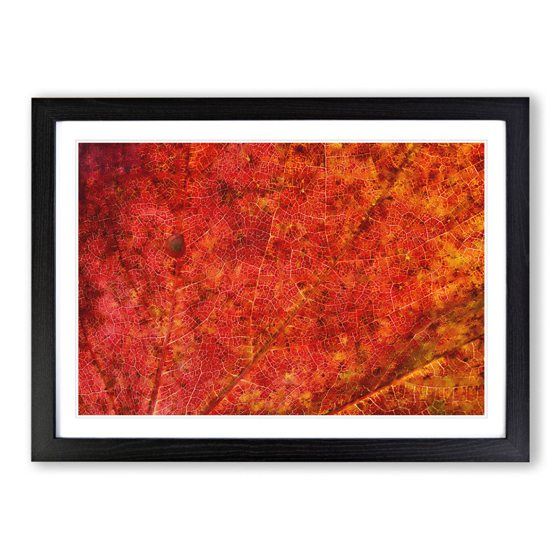 Autumn Leaf Vol.2 - Picture Frame Graphic Art, 36cm H x 48cm W x 2cm D, Black Framed
