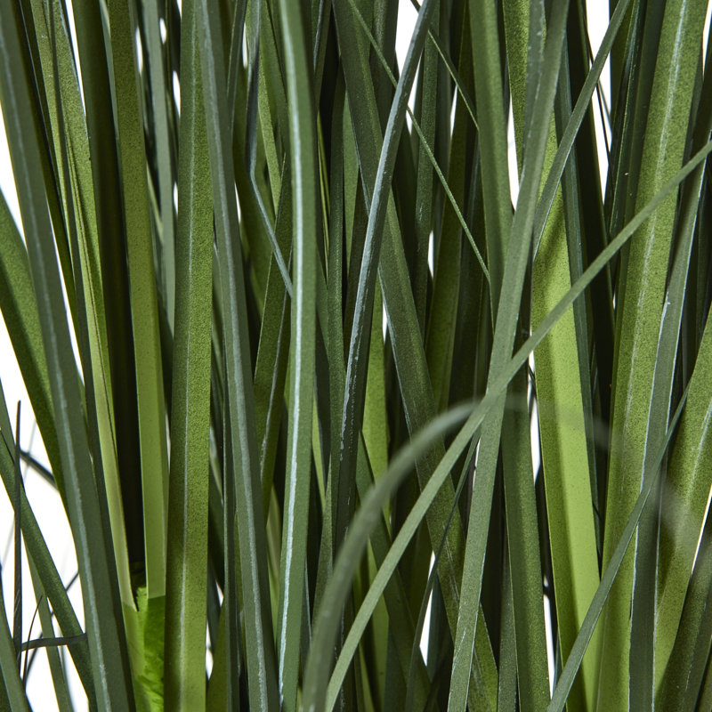 Andaiye 120cm Plant in Pot, Blue
